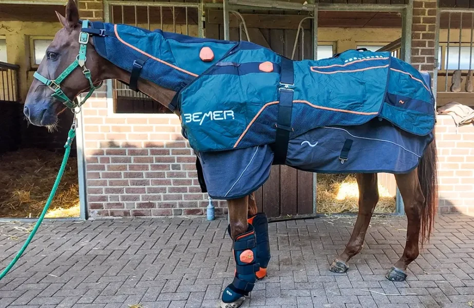 RheinPferd-Sarah-Llopis-Marquez-Pferdephysiotherapie-Pferdereha-Rehazentrum-Physiotherapie-Pferd-Düsseldorf-Duisburg-Kleve-Niederrhein-NRW-Bemer-Magnetfeldtherapie