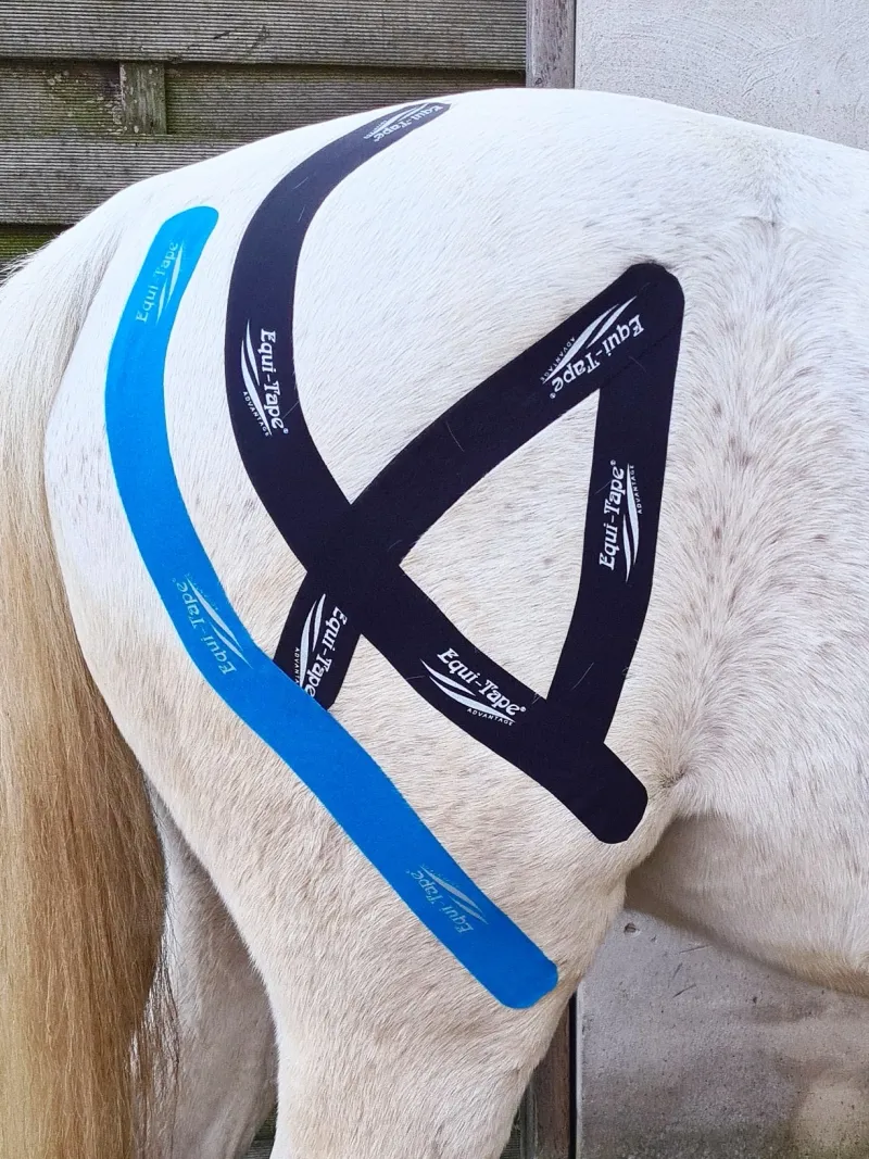 RheinPferd-Sarah-Llopis-Marquez-Pferdephysiotherapie-Pferdereha-Rehazentrum-Physiotherapie-Pferd-Düsseldorf-Duisburg-Kleve-Niederrhein-NRW-Taping