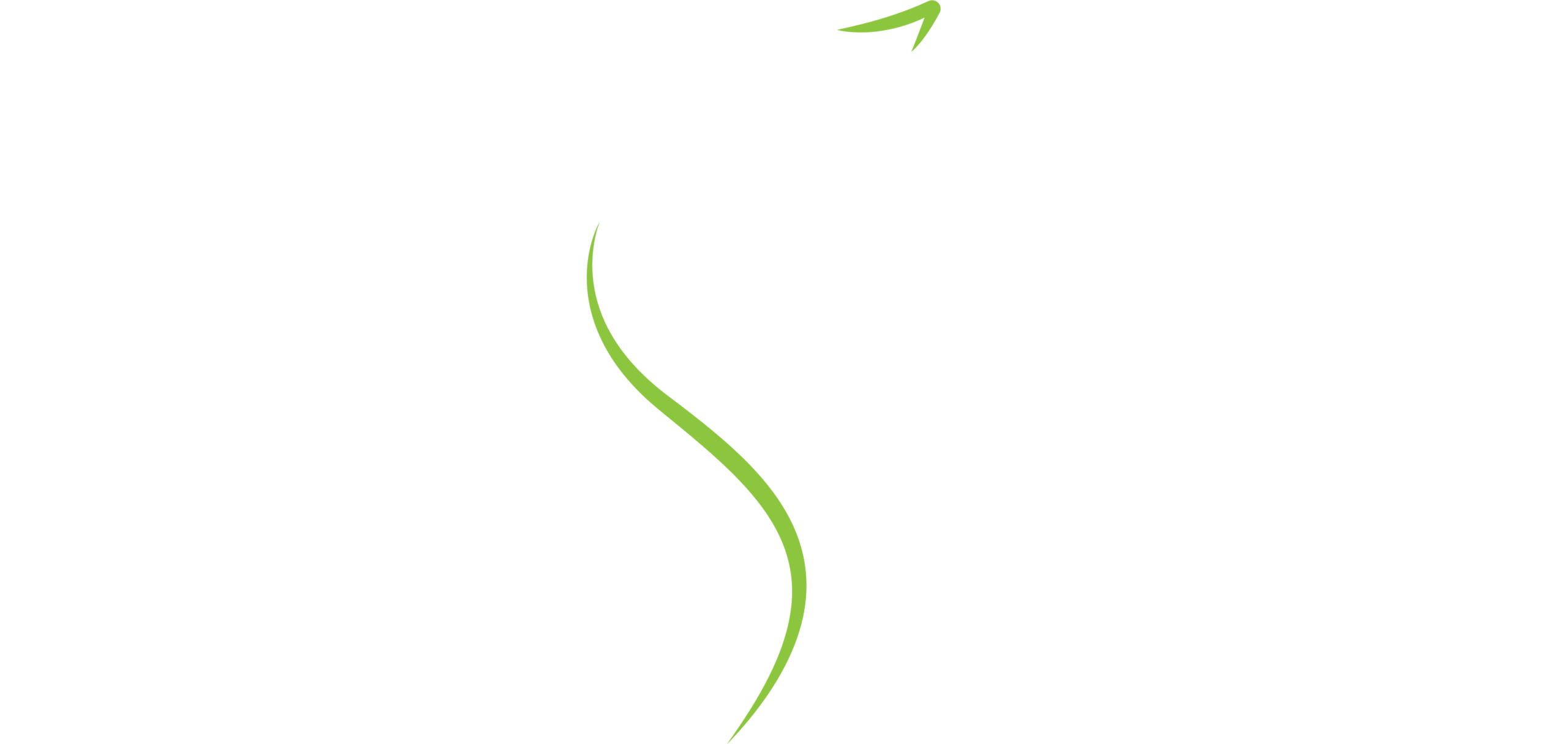 RheinPferd - Sarah Llopis Marquez